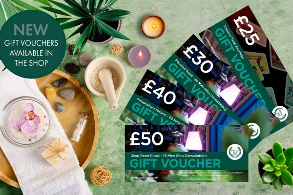 Paulo Bay Website Design