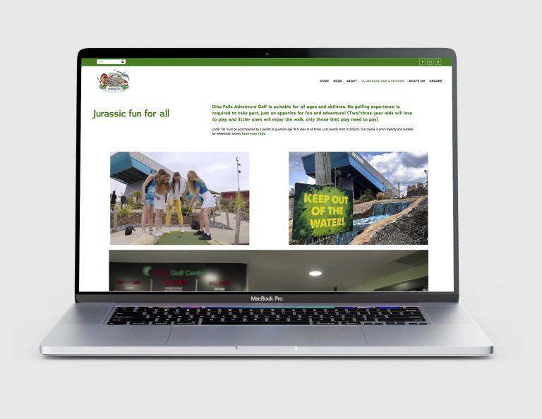 DinoFalls Website Design