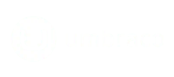 Umbraco Developer