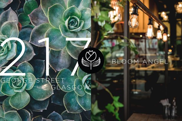 The Bloom Angel Branding