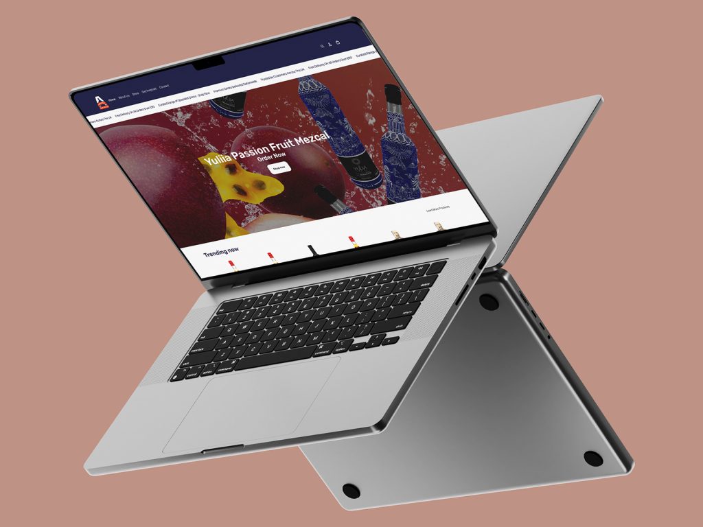 Web Designer in Altrincham: Website Design and Development, Paid Ads, SEO and Branding Expert 3 E-Commerce Website