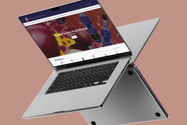 E-Commerce Website