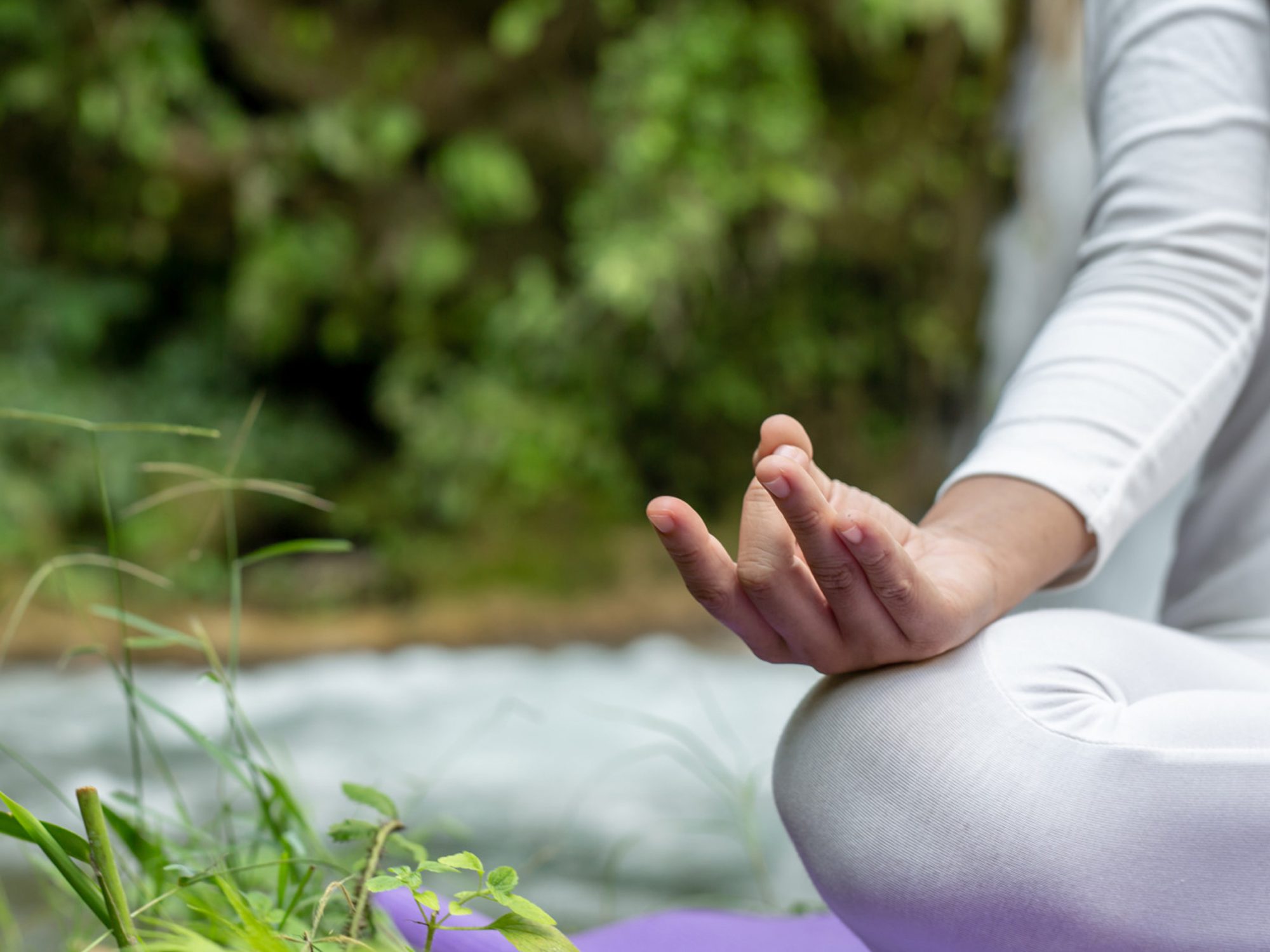 Branding the Future of Wellbeing: How Notch Digital Marketing Transformed Paulo Bay Wellness 2 Paulo Bay Wellness Knutsford