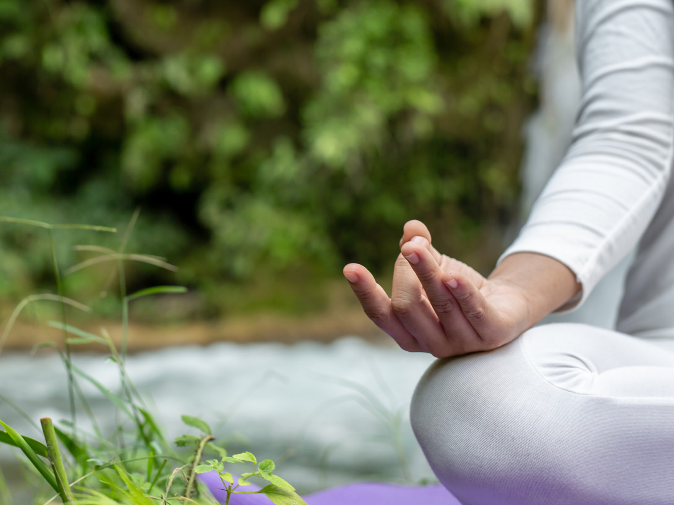 Paulo Bay Wellness Knutsford