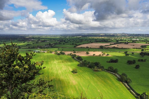 Digital Marketing Agency Cheshire